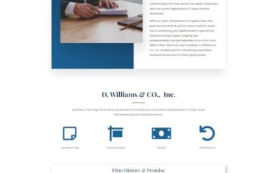 D. Williams & Co: Building A Website For An Accounting Firm in Lubbock